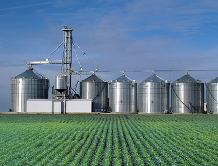 Farm